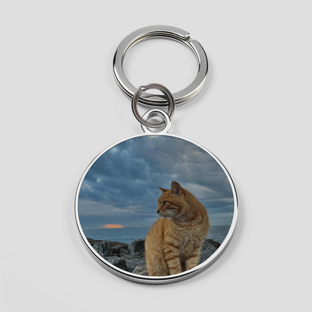 Cat Theme Phone Cover
