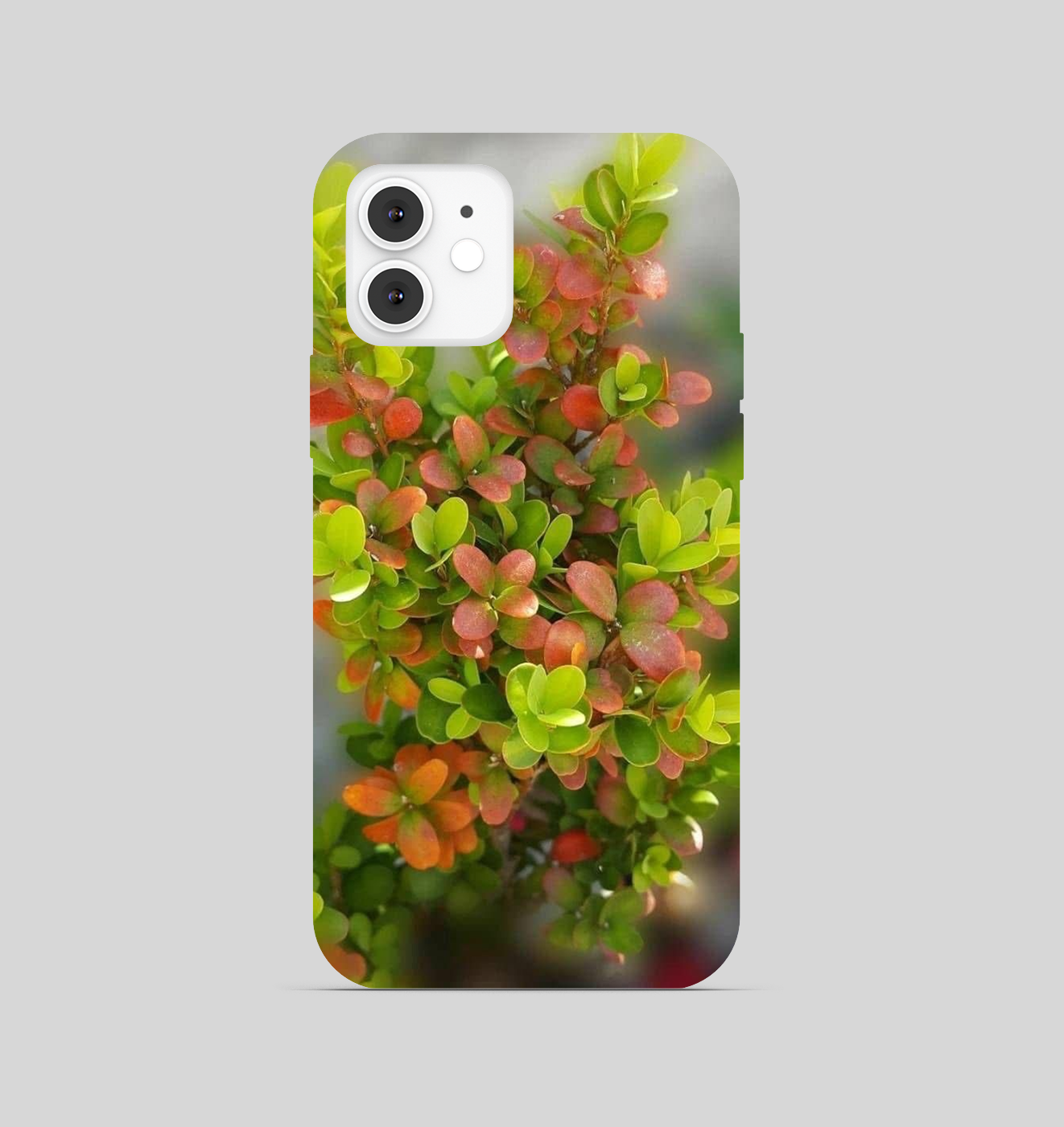 Multi Color Leaf Theme Phone Cover