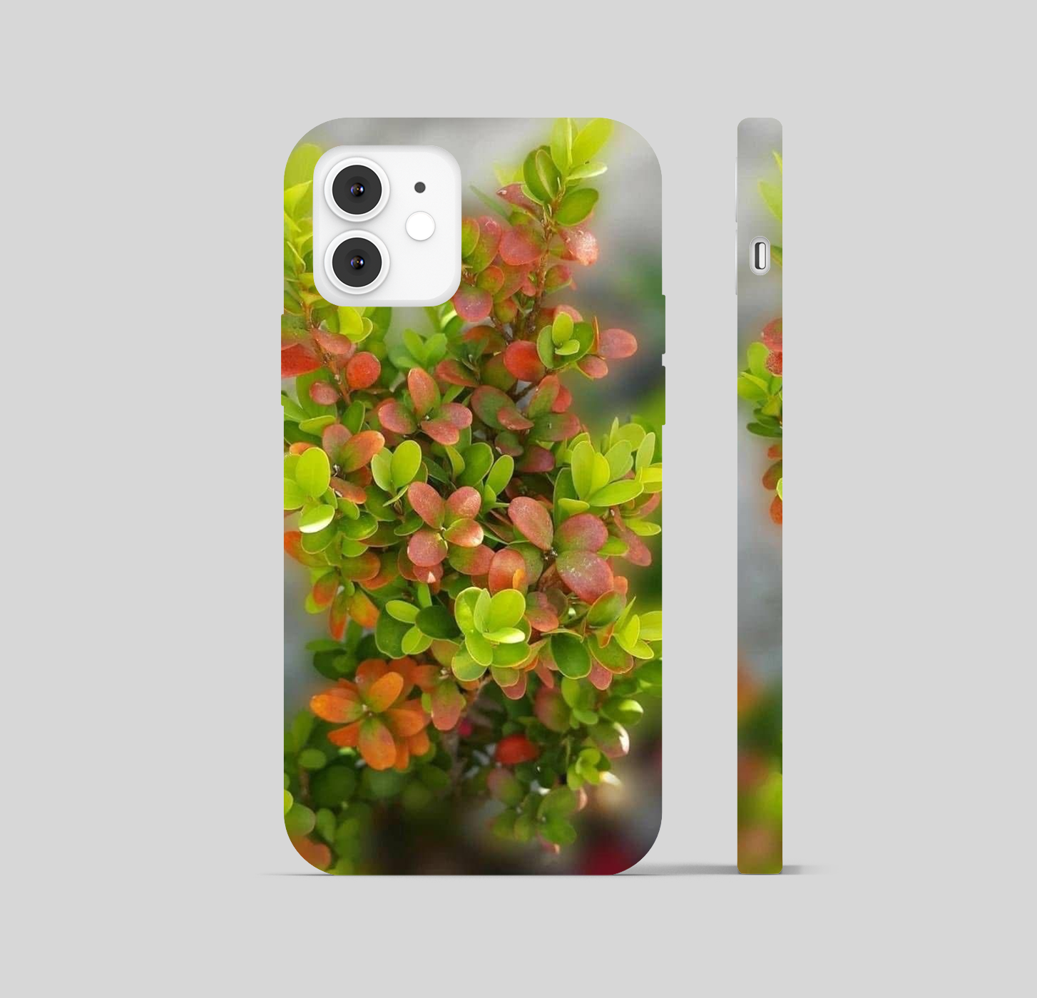 Multi Color Leaf Theme Phone Cover