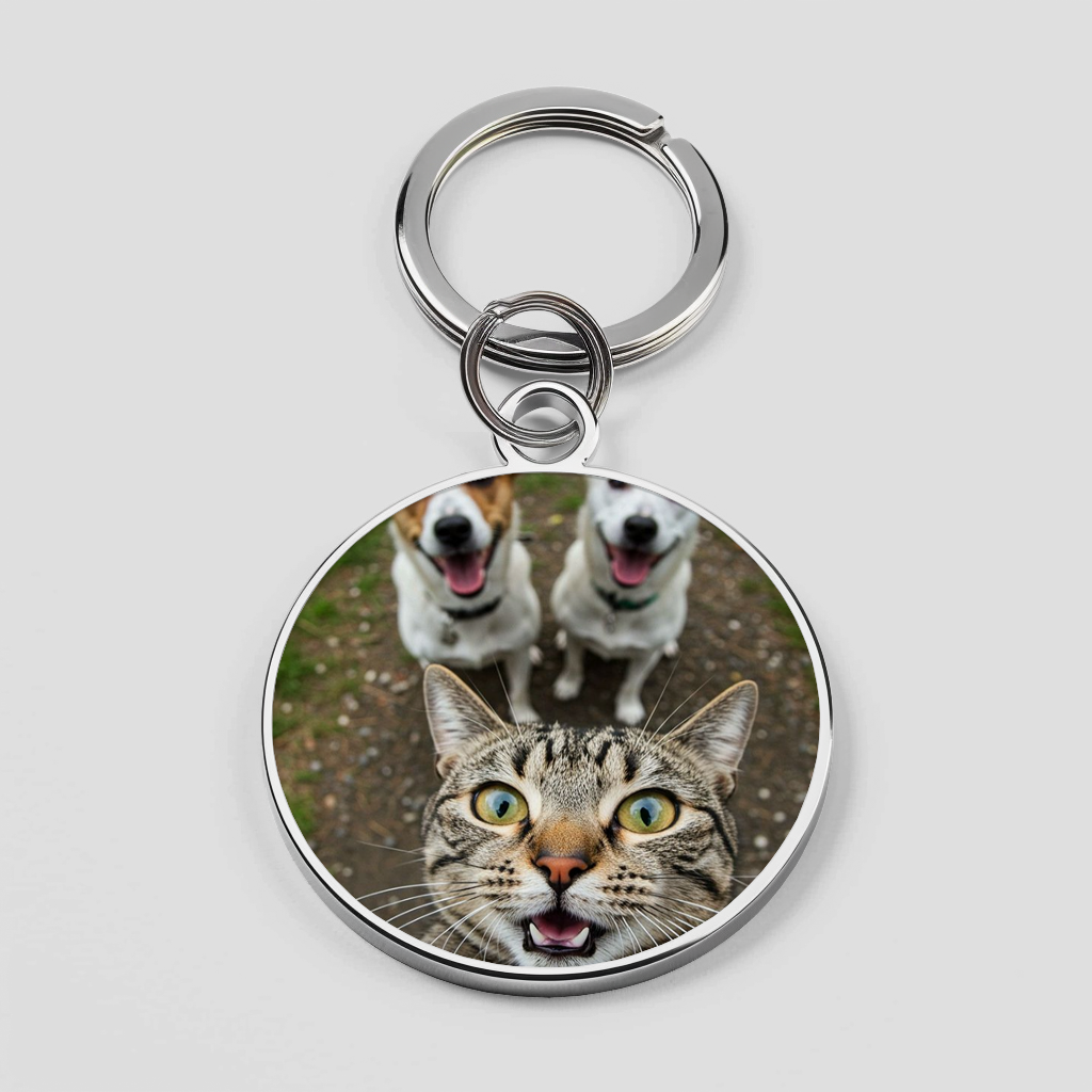 Meme Cat Theme Phone Cover