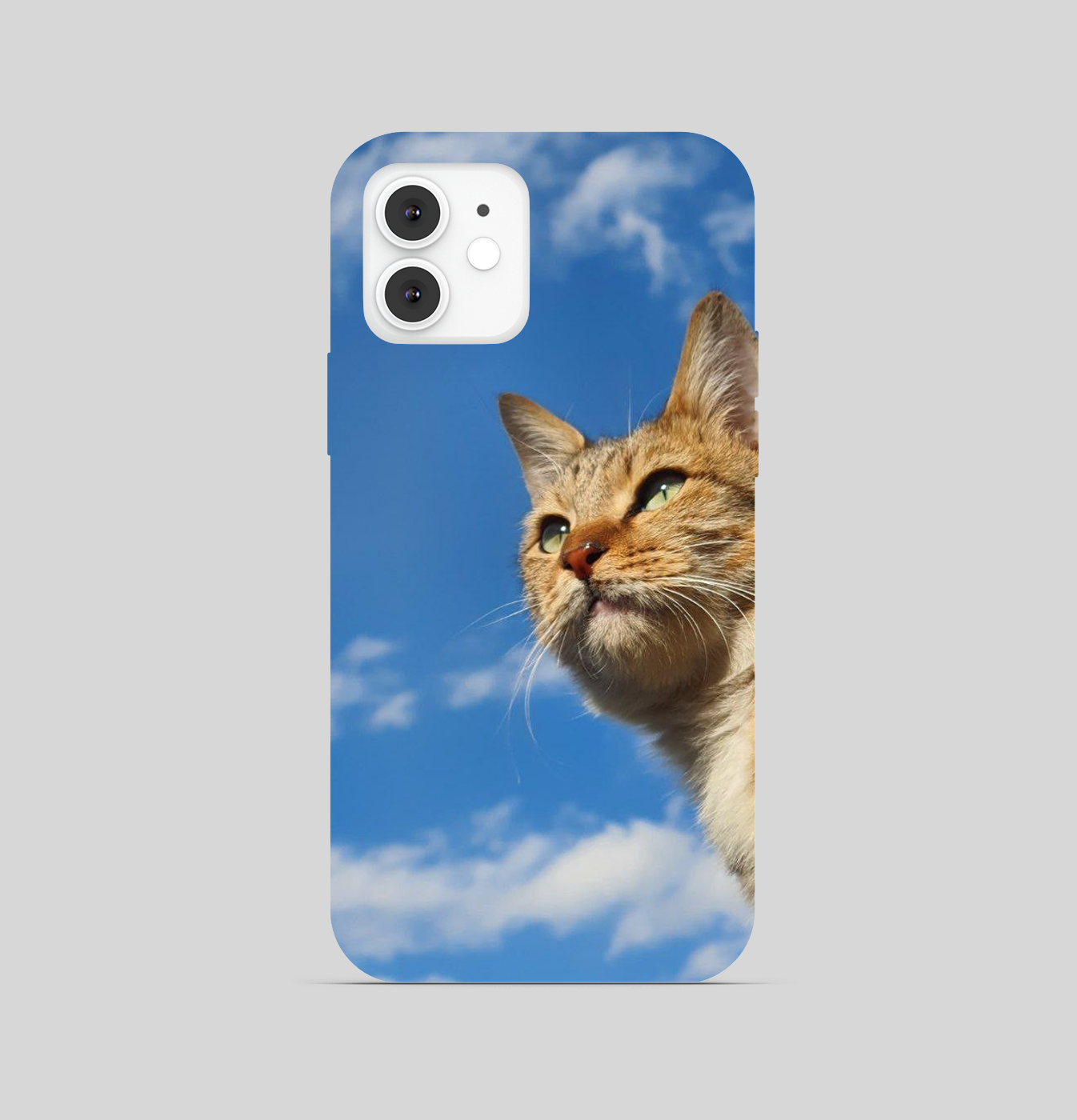 Smug Cat Theme Phone Cover