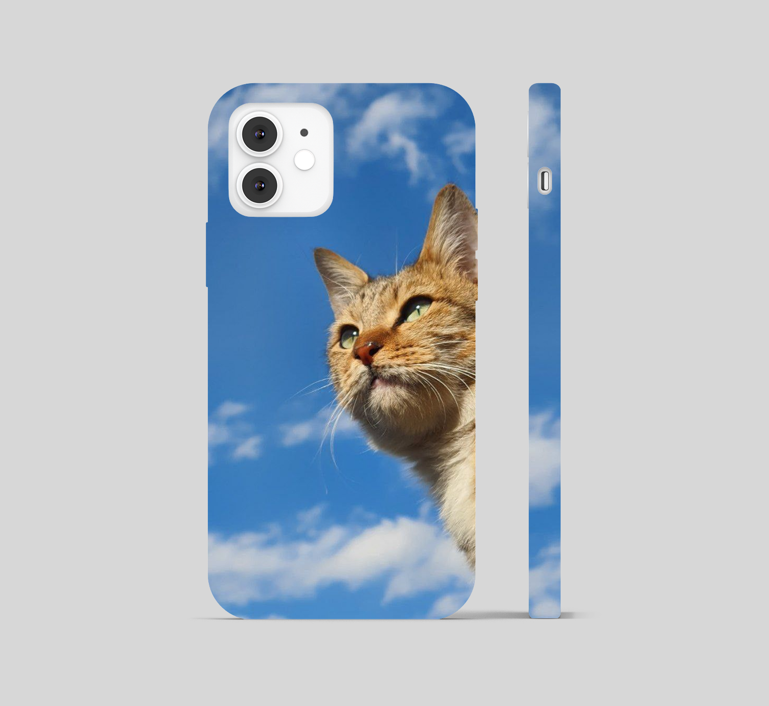 Smug Cat Theme Phone Cover